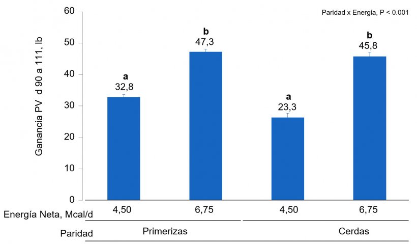 Figura 1B. &nbsp;Efectos de la alimentaci&oacute;n con diferentes niveles&nbsp;de energ&iacute;a&nbsp;desde el&nbsp;d&iacute;a&nbsp;90 al&nbsp;111 de gestaci&oacute;n en la ganancia de PV de primerizas&nbsp;y cerdas. Las medias con un super&iacute;ndice diferente dentro del nivel de paridad son diferentes&nbsp;(P &lt;0,05).
